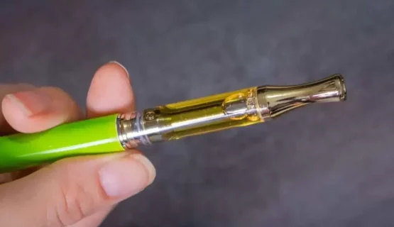 shroom pen